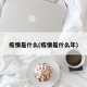 疫情是什么(疫情是什么年)