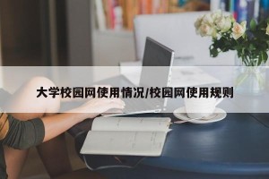 大学校园网使用情况/校园网使用规则