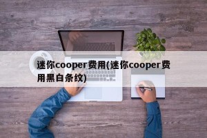 迷你cooper费用(迷你cooper费用黑白条纹)